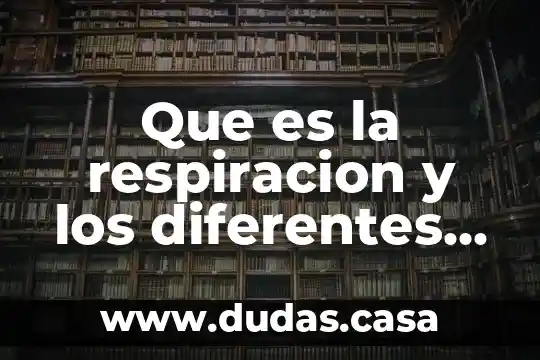 Que es la respiracion y los diferentes tipos que existe
