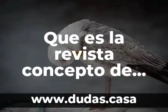 Que es la revista concepto de autores