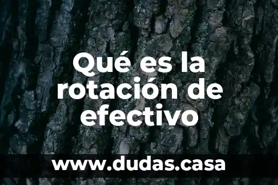 Qué es la rotación de efectivo
