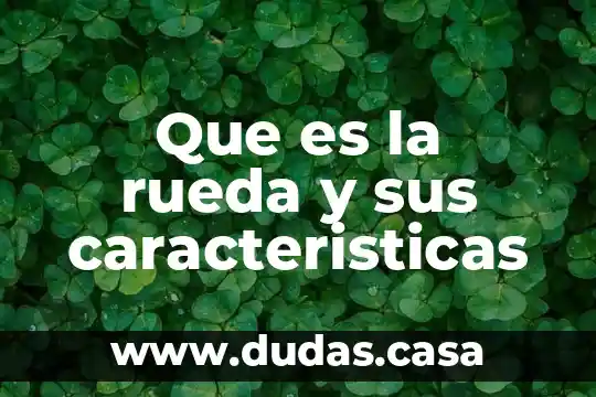 Que es la rueda y sus caracteristicas