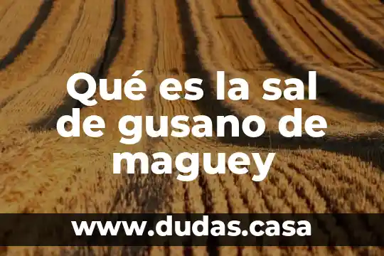 Qué es la sal de gusano de maguey