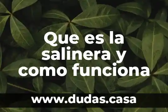 Que es la salinera y como funciona