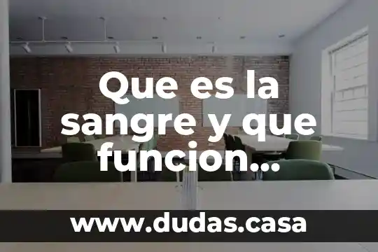 Que es la sangre y que funcion desempeña