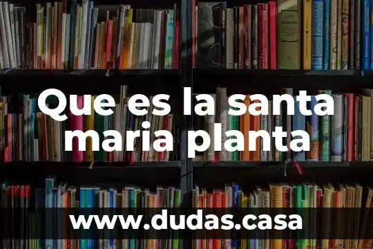 Que es la santa maria planta