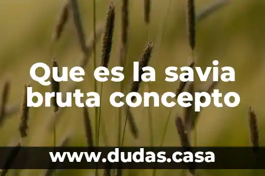 Que es la savia bruta concepto