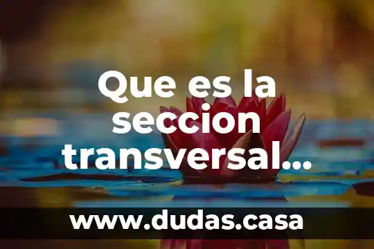 Que es la seccion transversal cuadrada