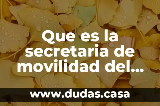Que es la secretaria de movilidad del estado de mexico