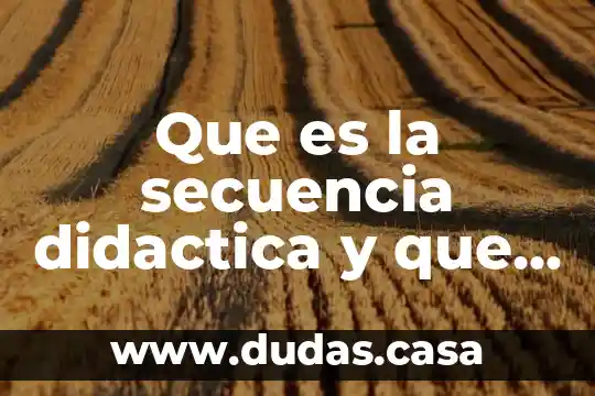 Que es la secuencia didactica y que elementos contiene