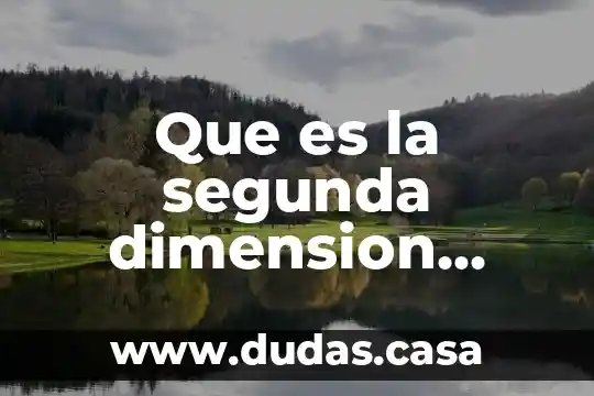 Que es la segunda dimension artes visuales