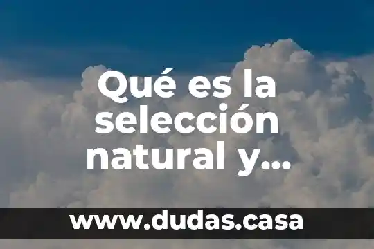 Qué es la selección natural y evolución selectiva