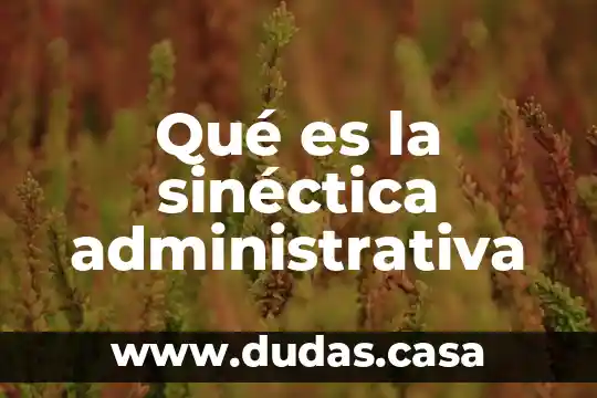 Qué es la sinéctica administrativa