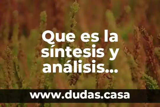 Que es la síntesis y análisis químico en la industria