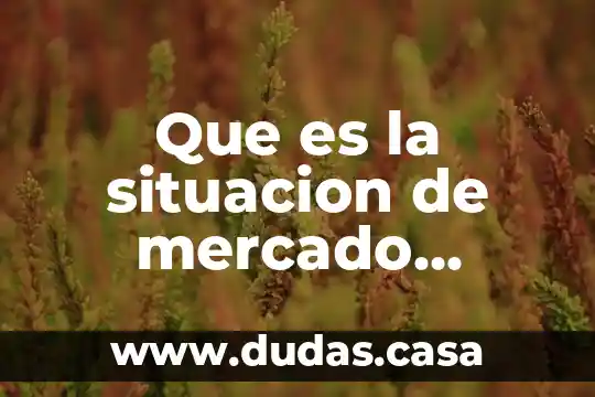 Que es la situacion de mercado productos y servicios
