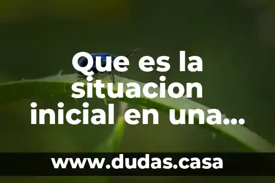 Que es la situacion inicial en una obra de teatro