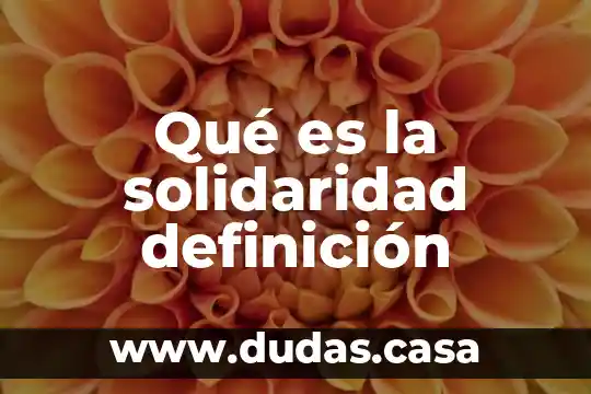 Qué es la solidaridad definición