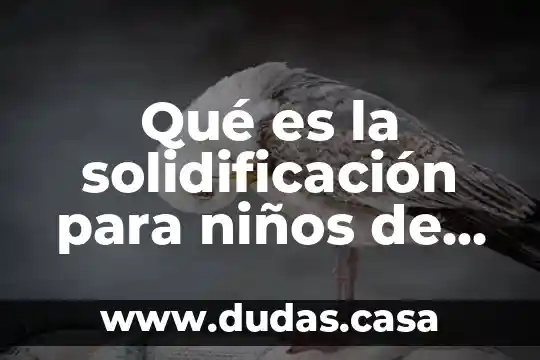 Qué es la solidificación para niños de primaria