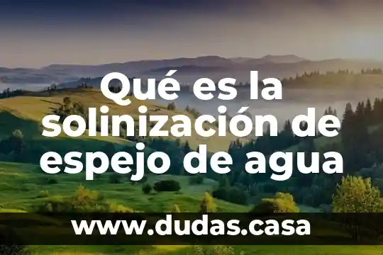 Qué es la solinización de espejo de agua