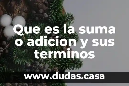 Que es la suma o adicion y sus terminos
