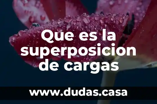 Que es la superposicion de cargas