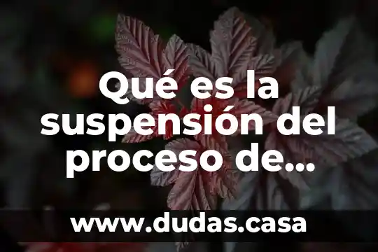 Qué es la suspensión del proceso de prueba