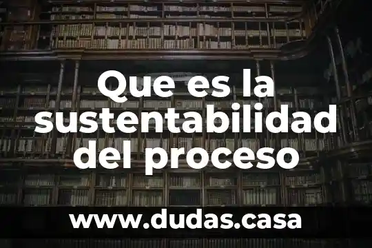 Que es la sustentabilidad del proceso