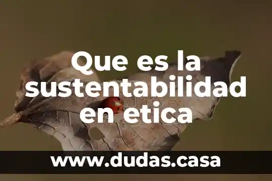 Que es la sustentabilidad en etica