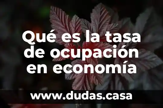 Qué es la tasa de ocupación en economía
