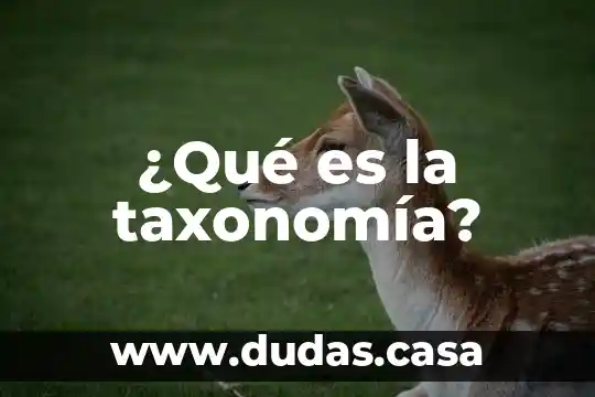 ¿Qué es la taxonomía?