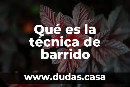 Qué es la técnica de barrido