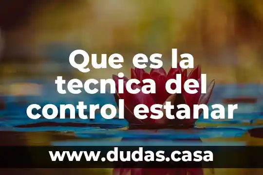 Que es la tecnica del control estanar