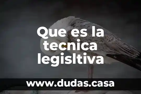 Que es la tecnica legisltiva