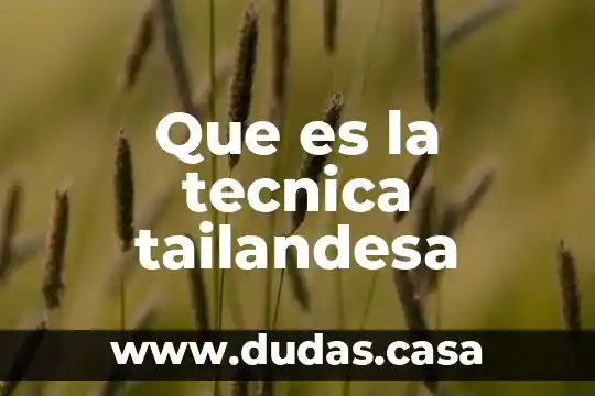 Que es la tecnica tailandesa