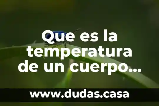 Que es la temperatura de un cuerpo fisico