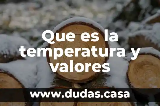 Que es la temperatura y valores
