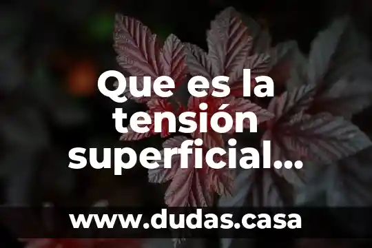 Que es la tensión superficial quimica