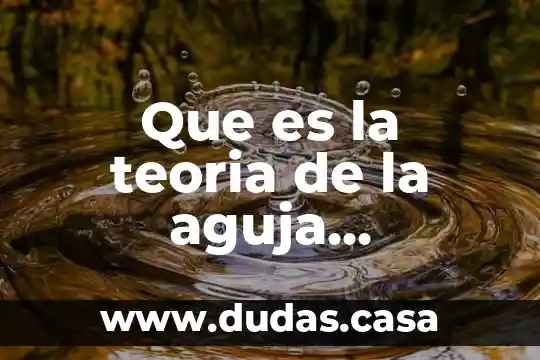Que es la teoria de la aguja hipodermica
