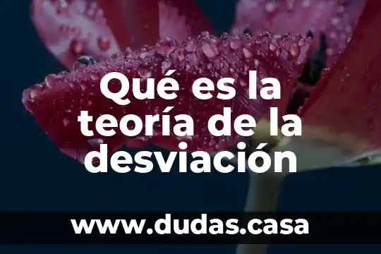Qué es la teoría de la desviación