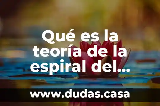 Qué es la teoría de la espiral del silencio
