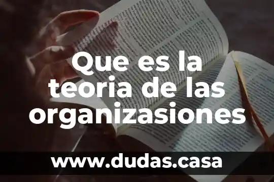 Que es la teoria de las organizasiones