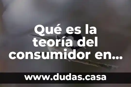 Qué es la teoría del consumidor en economía