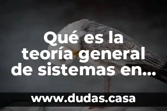 Qué es la teoría general de sistemas en informática