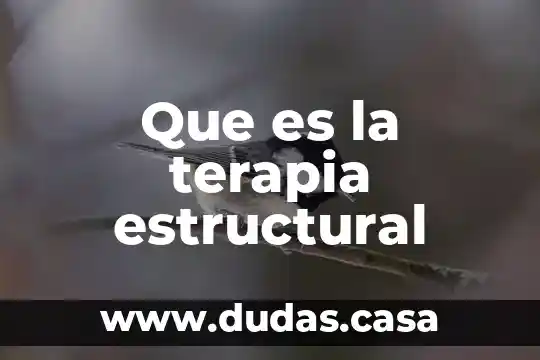 Que es la terapia estructural