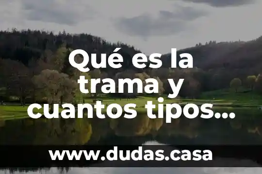 Qué es la trama y cuantos tipos hay