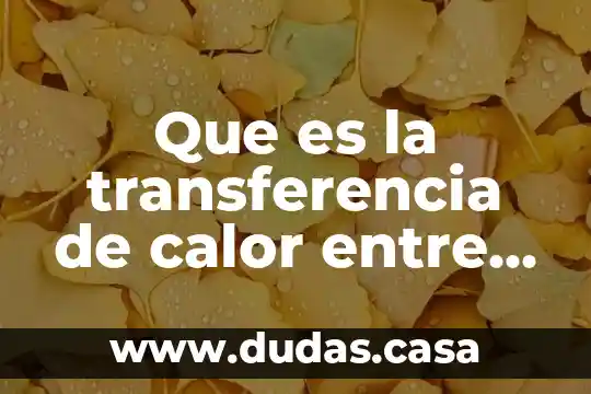 Que es la transferencia de calor entre dos cuerpos