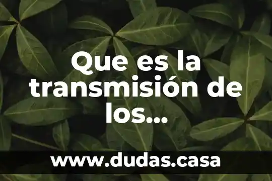 Que es la transmisión de los conocimientos tecnicos