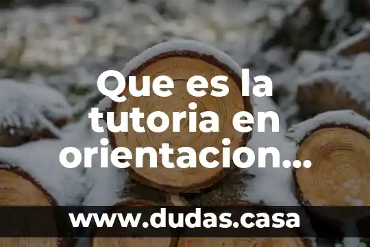 Que es la tutoria en orientacion educativa