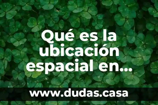 Qué es la ubicación espacial en educación física