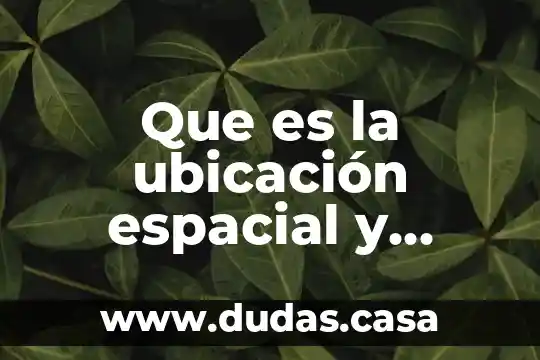Que es la ubicación espacial y temporal