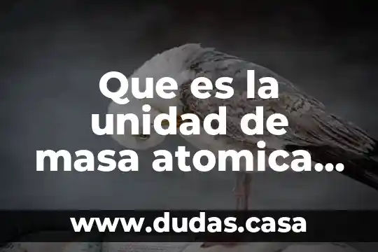 Qué es la masa atómica en química 7 Que es la unidad de masa atomica yahoo