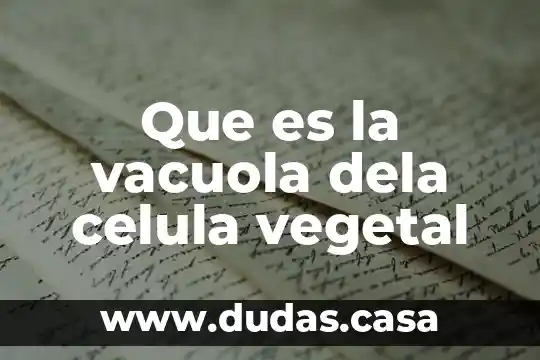 Que es la vacuola dela celula vegetal